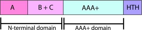 FIG. 2.