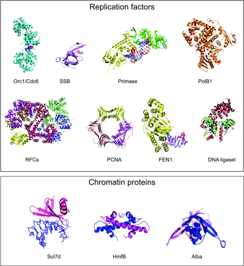 FIG. 1.