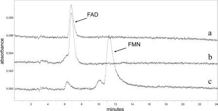 FIG. 7.