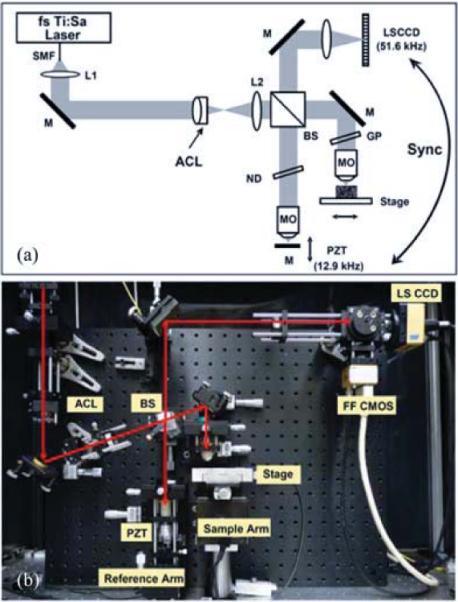 Fig. 2