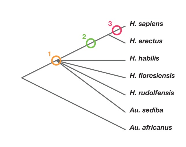 Figure 2.