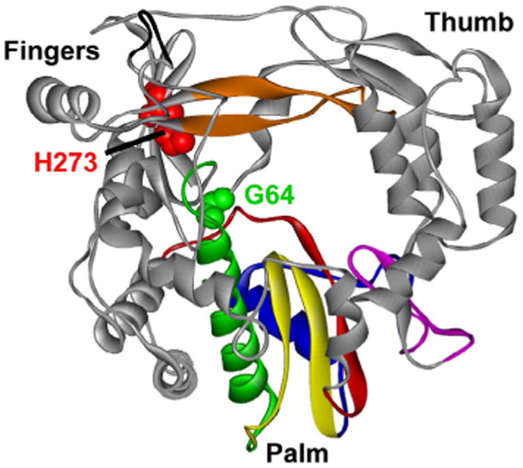 Fig. 8