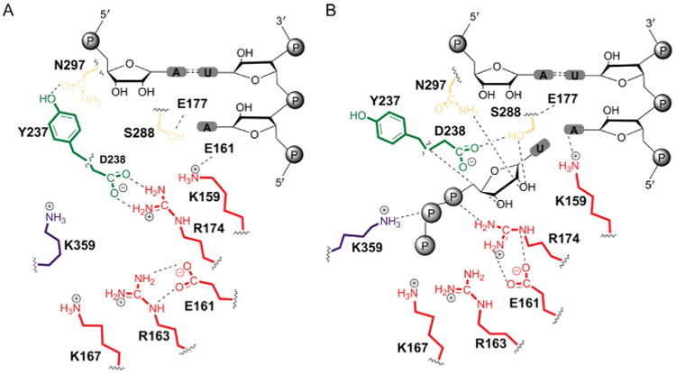 Fig. 13