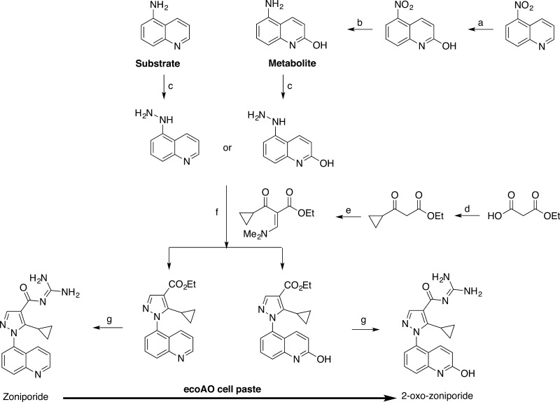 Scheme 1