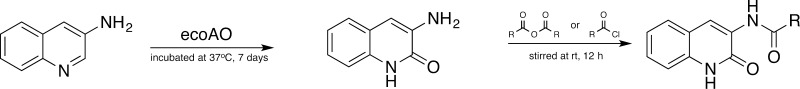 Scheme 3