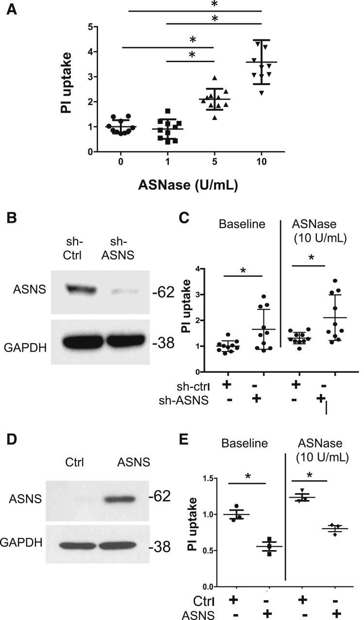 Figure 7