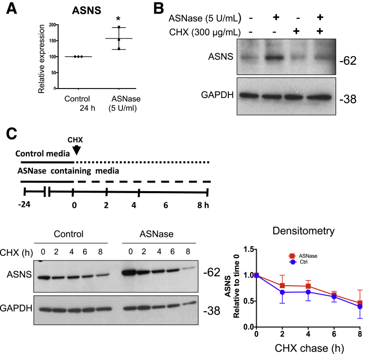 Figure 6