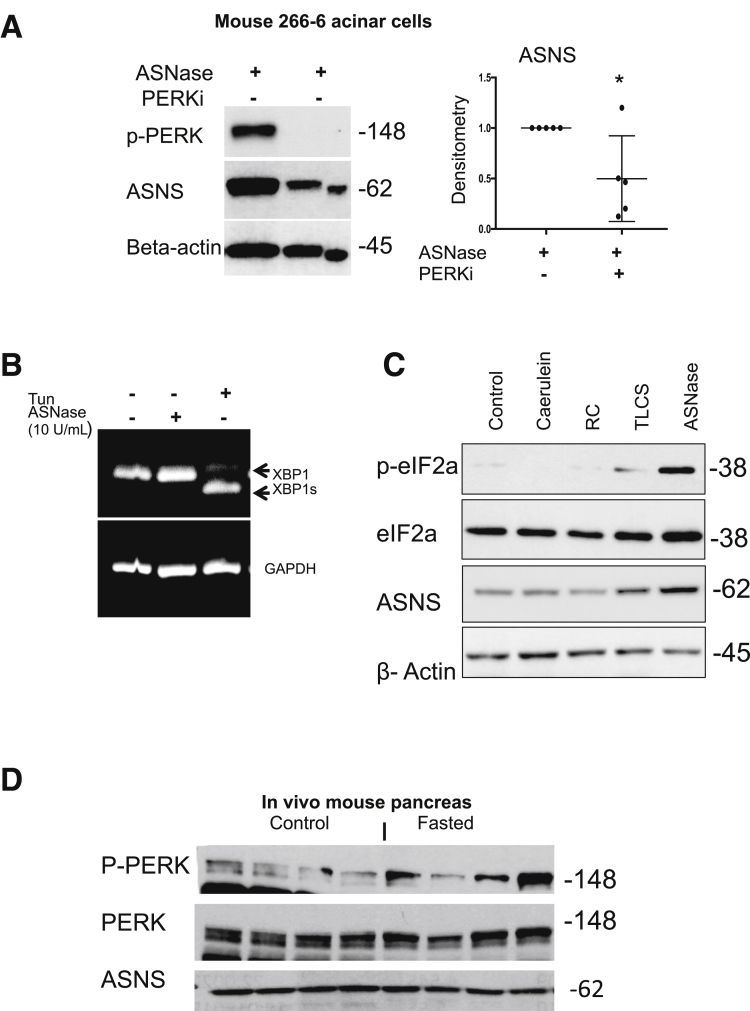 Figure 5