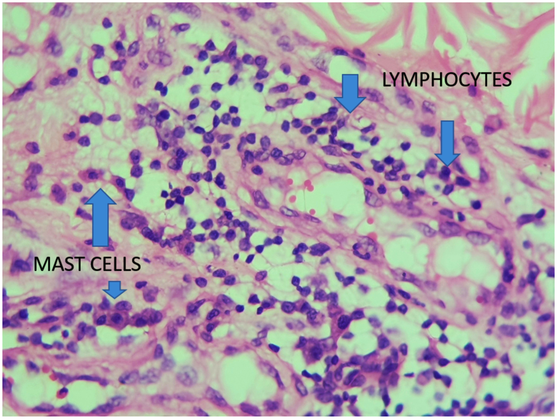 Figure 3,