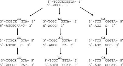 Scheme 3