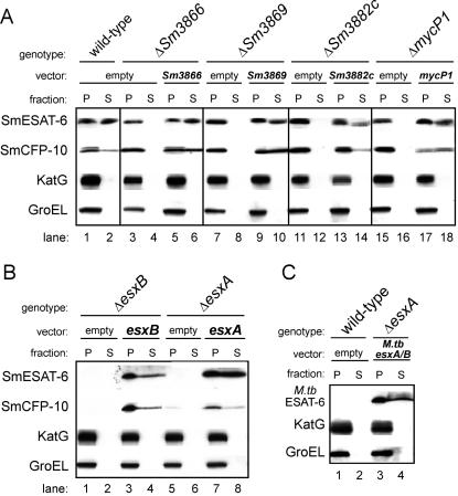 FIG. 4.