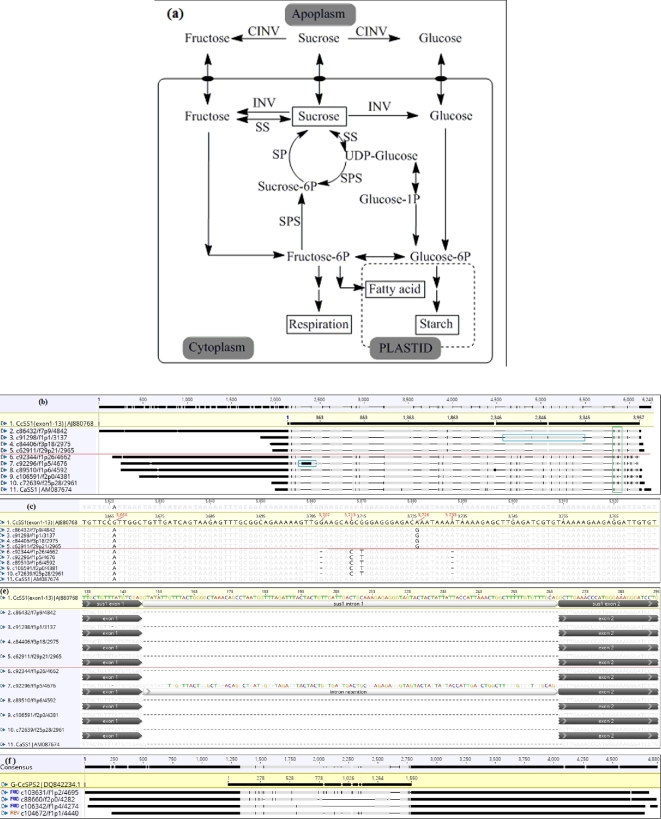 Figure 4: