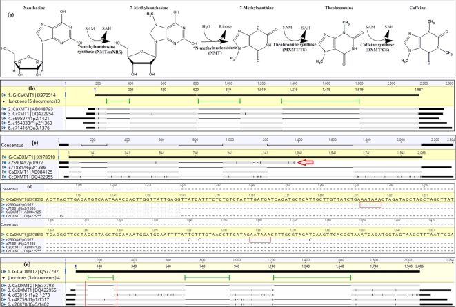 Figure 2: