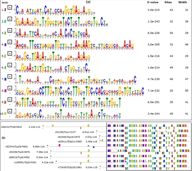 Figure 3: