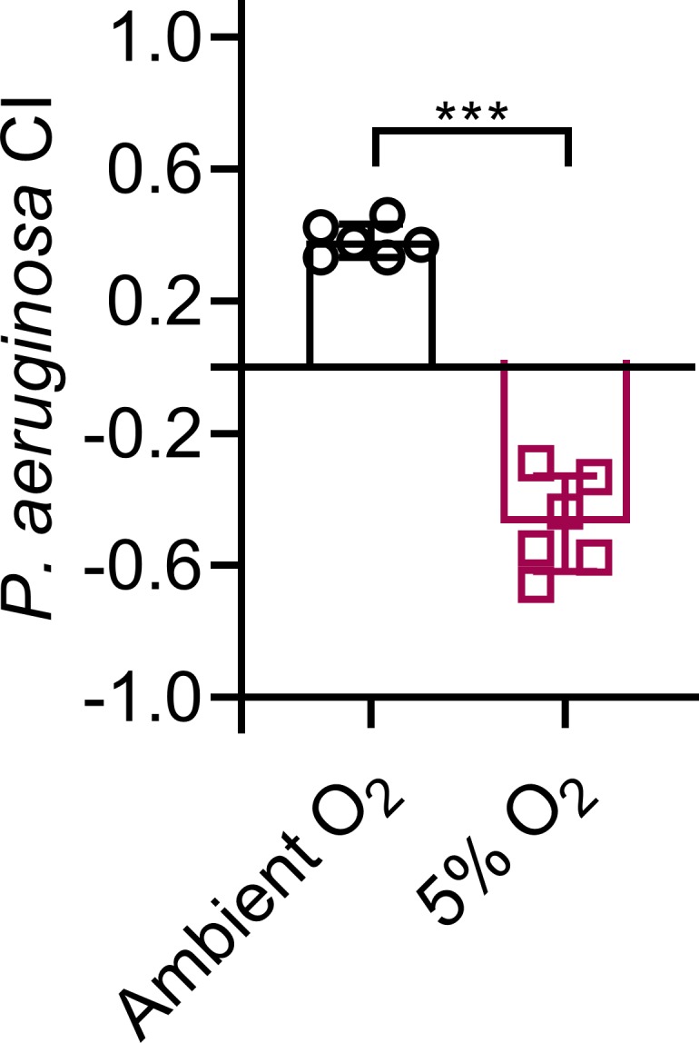 Figure 6—figure supplement 2.