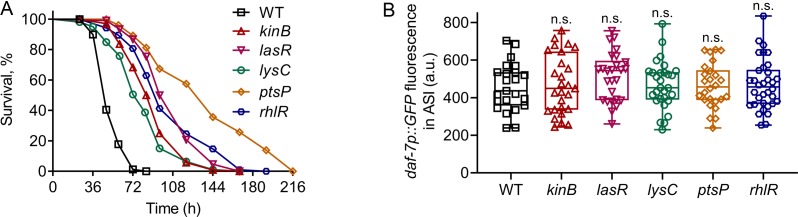 Figure 4—figure supplement 1.