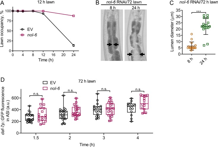 Figure 3—figure supplement 1.