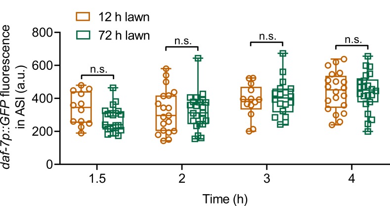 Figure 2—figure supplement 1.