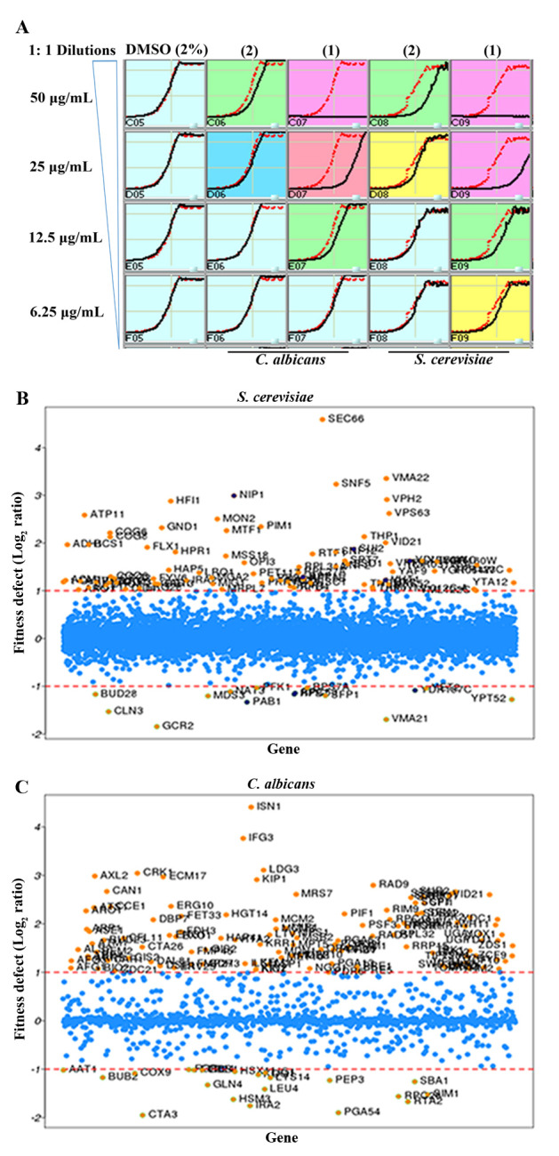 Figure 4