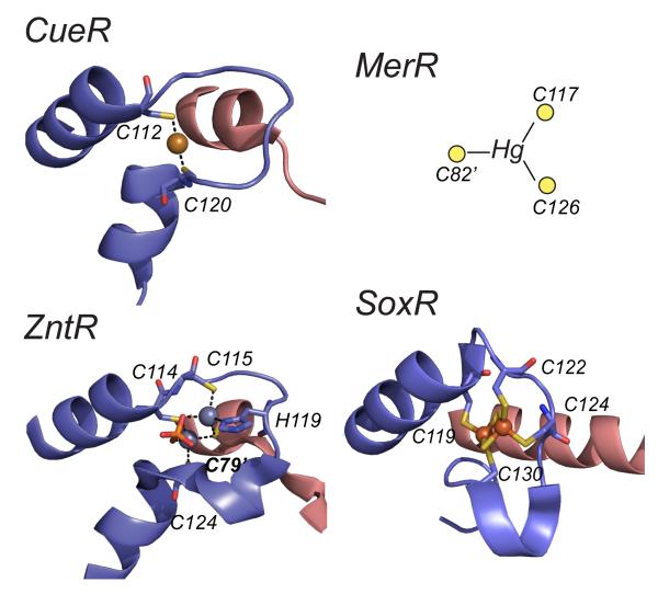 Figure 13