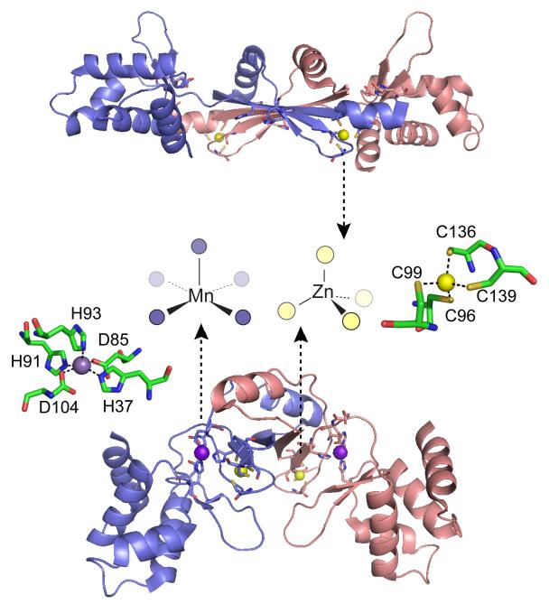 Figure 17