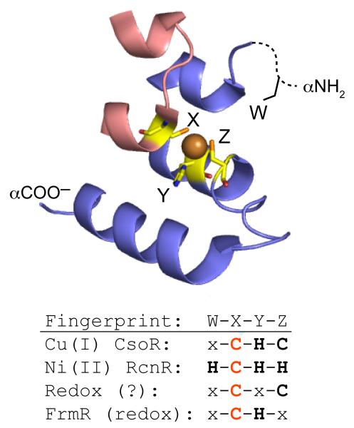 Figure 15