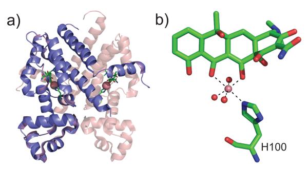 Figure 19