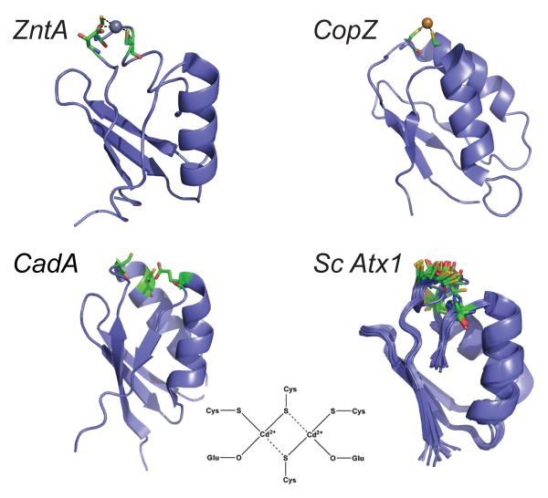 Figure 7