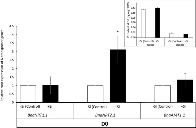 FIGURE 3