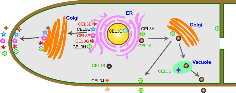 FIG 11