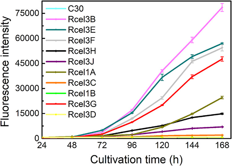 FIG 4