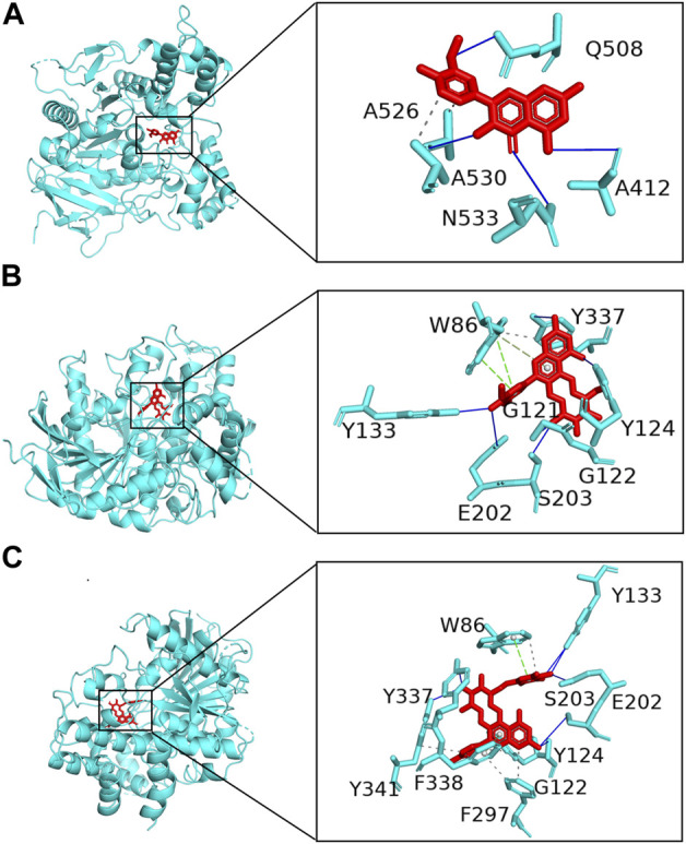 FIGURE 7