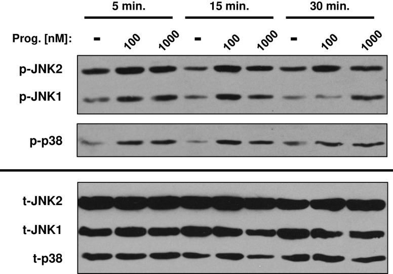 Fig. 3