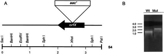 FIG. 5.