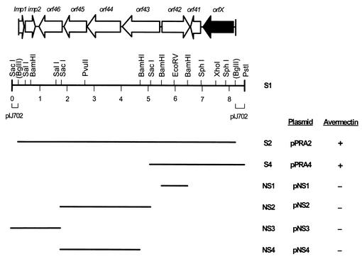 FIG. 1.