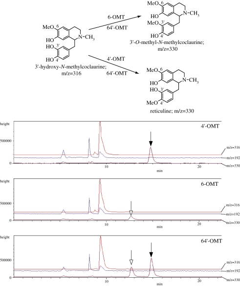 Figure 7. 