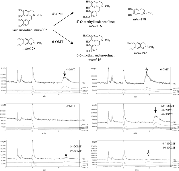 Figure 6. 