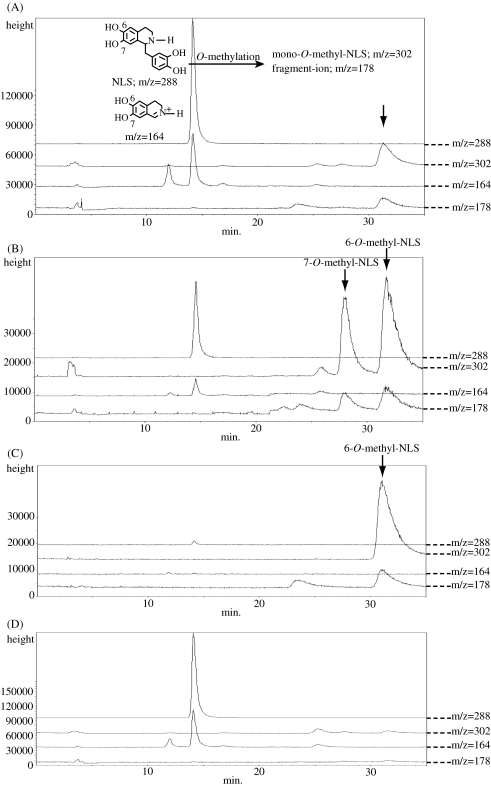 Figure 4. 