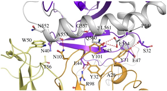 Figure 4