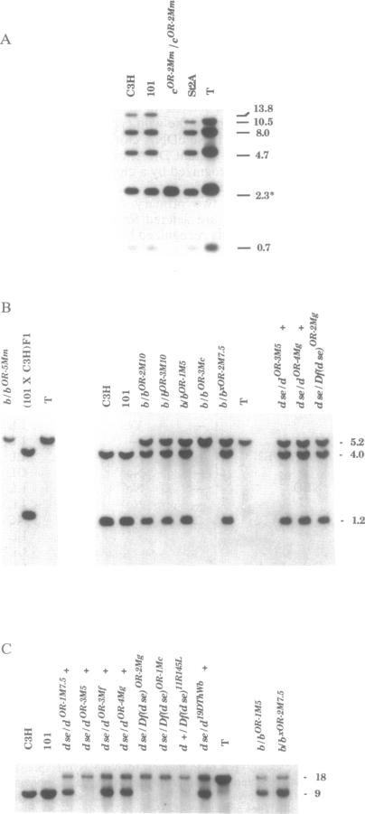 graphic file with name pnas01087-0494-a.jpg