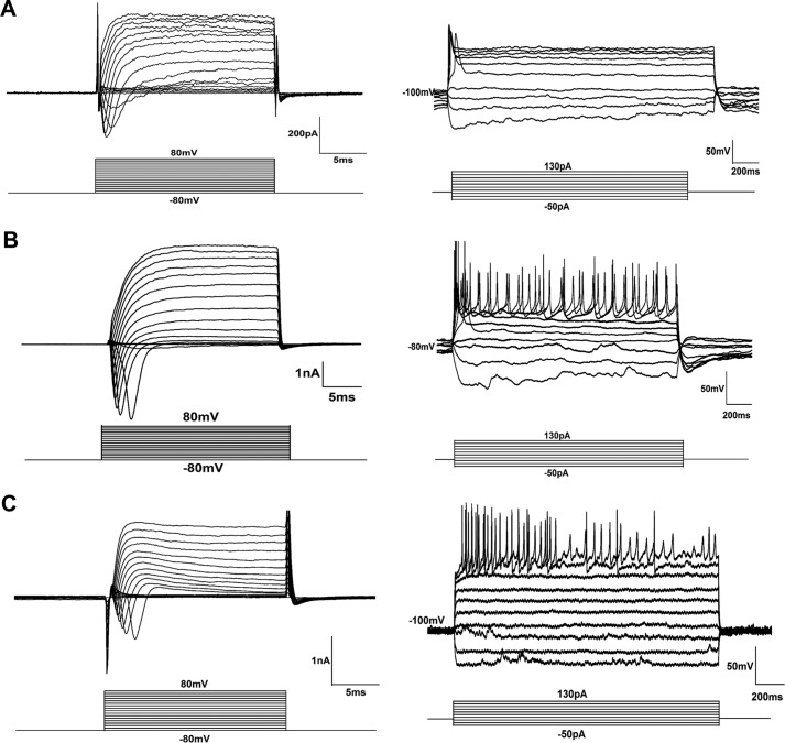 Figure 5.