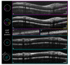 Fig. 9