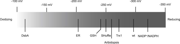 Fig. 9