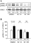 Figure 11.