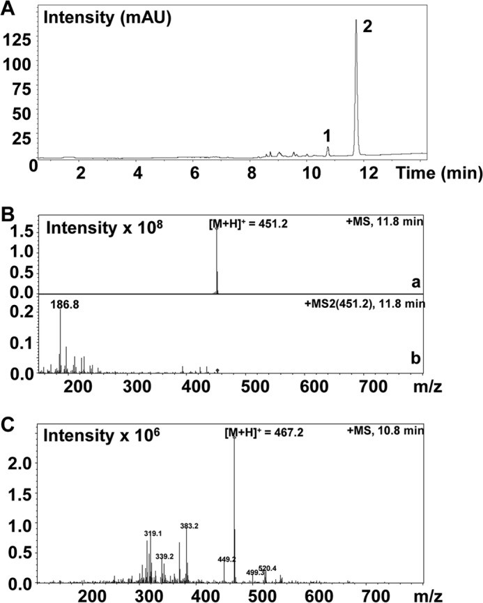 FIGURE 1.