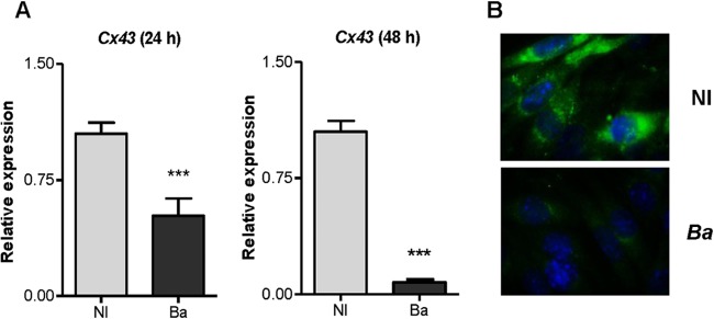 FIG 2