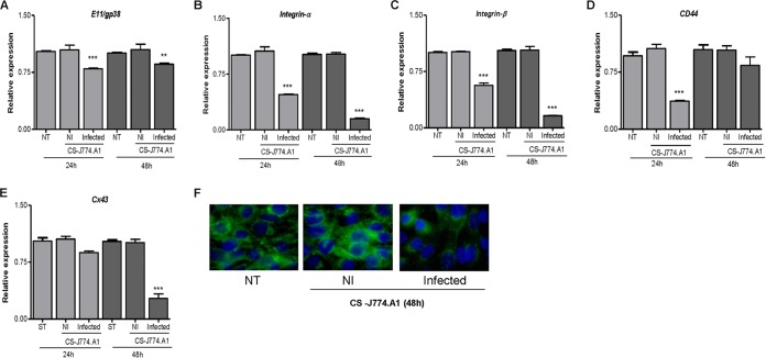 FIG 3