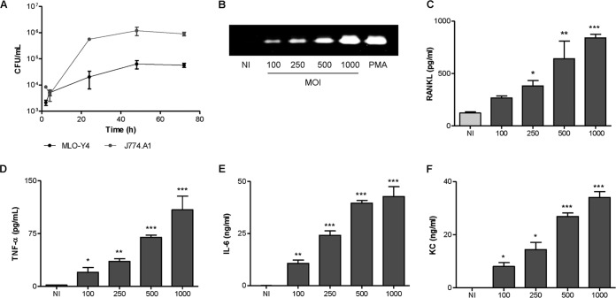 FIG 1