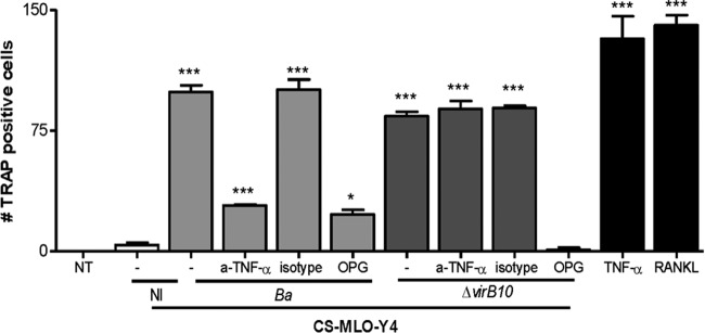 FIG 7