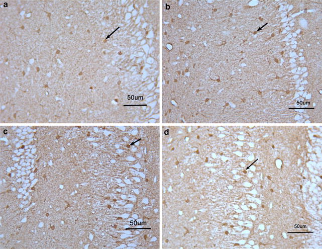 Fig. 6